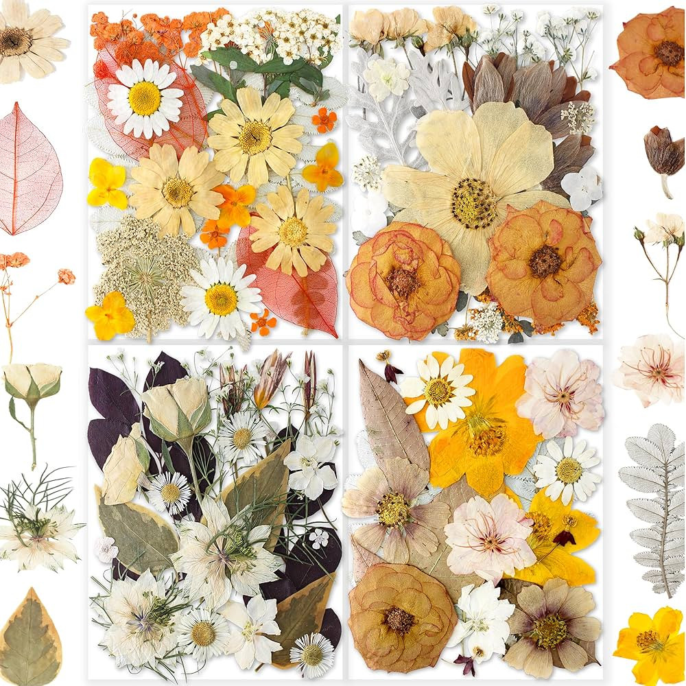 148PCS Dried Pressed Flowers for Resin Craft - Youthbro Real Nature Flowers Set with Butterfly St... | Amazon (US)