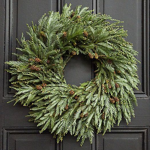 Fresh Redwood Wreath | Terrain