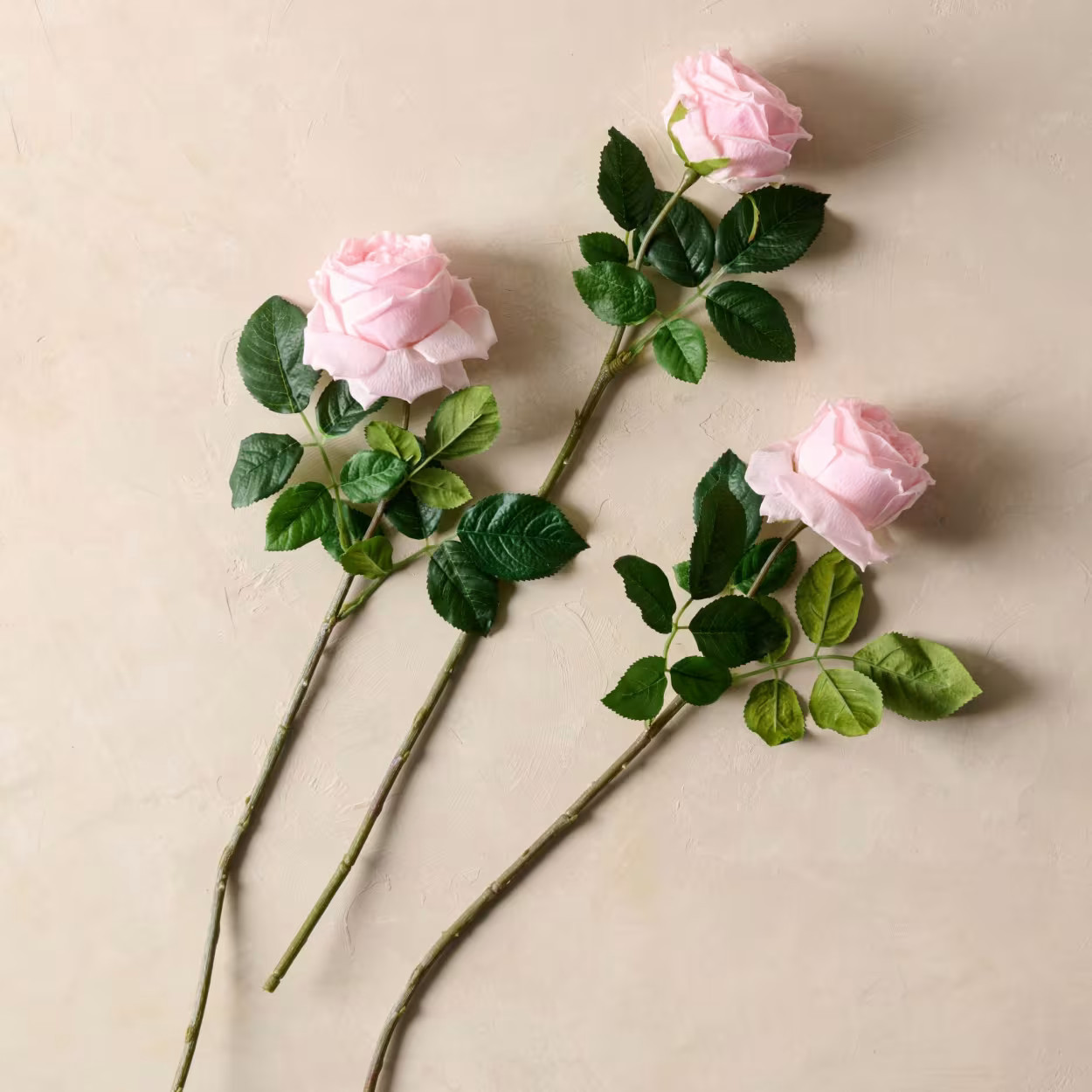 Austin Rose Stem | Magnolia