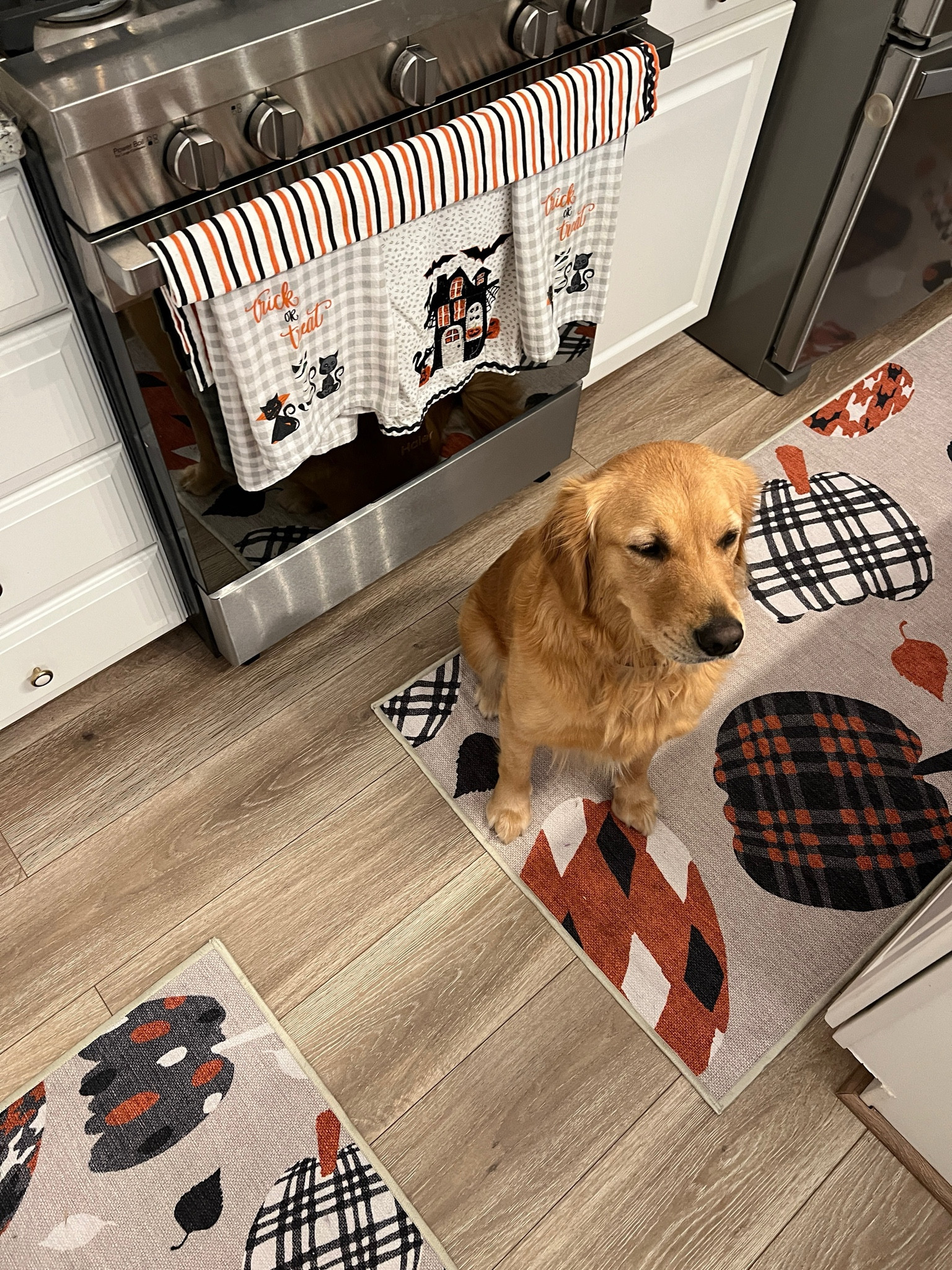 Rugs, fun kitchen decor, fun Halloween decor, pet friendly, family

#LTKHalloween #LTKHome #LTKSeasonal