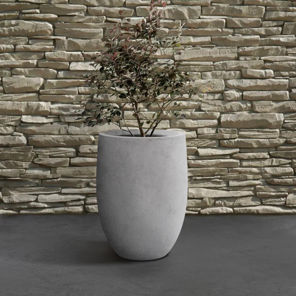 Gethsemane Concrete Pot Planter | Wayfair Professional