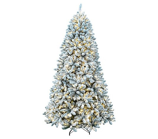 Fraser Hill Farm 9' Flocked Winter Snow Pine Christmas Tree - QVC.com | QVC