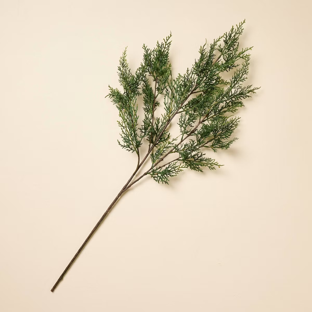 26" Cedar Artificial Stem - Hearth & Hand™ with Magnolia | Target