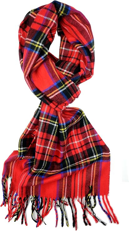 Plum Feathers Super Soft Luxurious Cashmere Feel unisex for Men and Women Winter Scarf | Amazon (US)