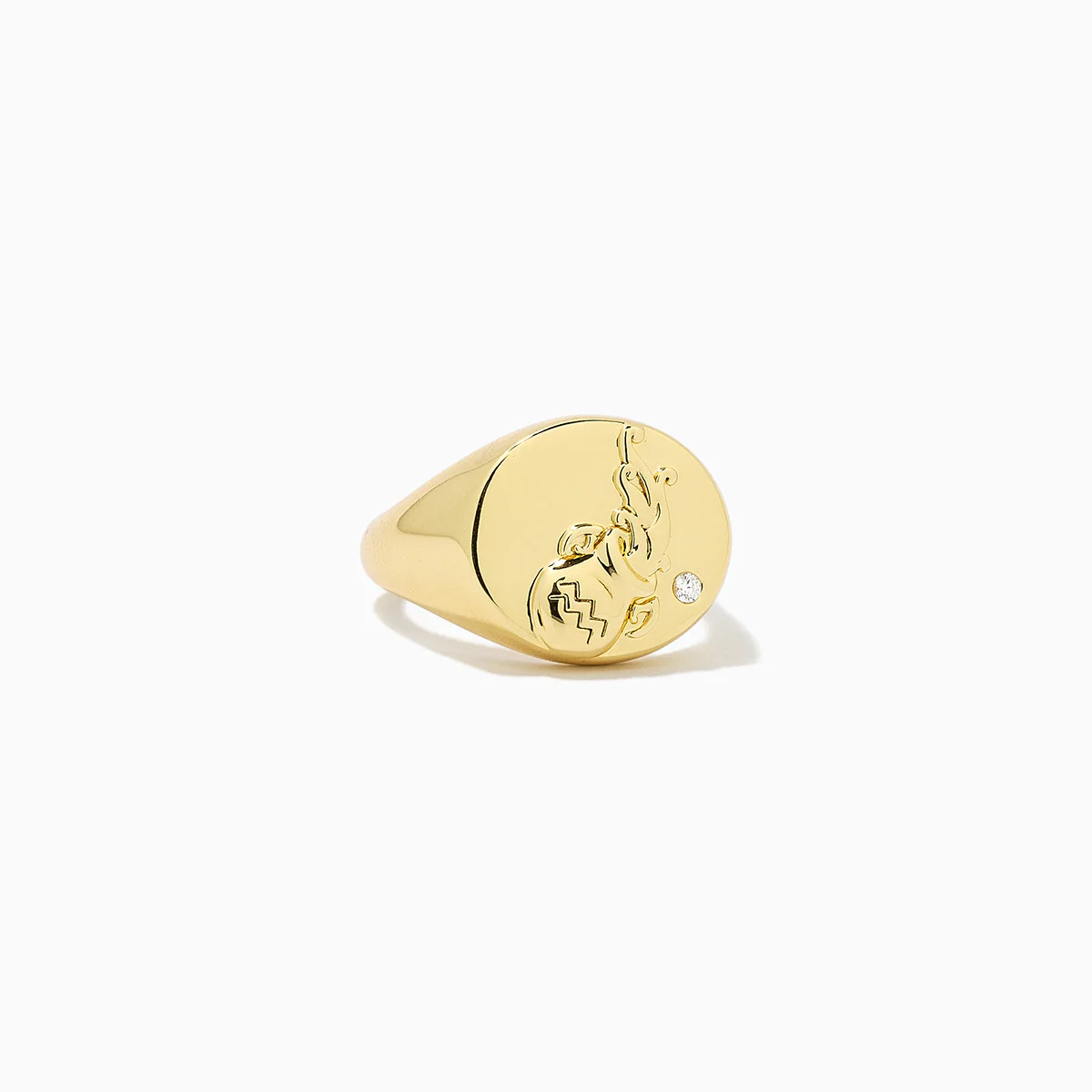 Zodiac Ring | Uncommon James