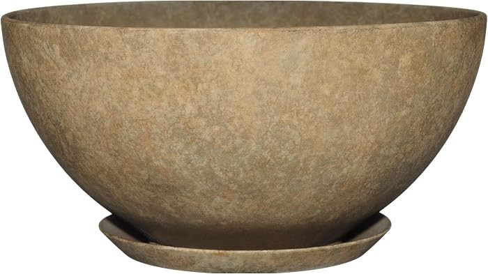 GROWSCAPE Rosie Planter Bowl, with Drainage and Saucer, 10\u201d Earth | Amazon (US)