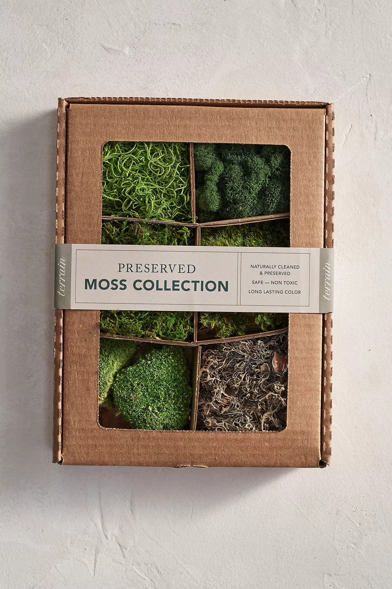 Preserved Moss Collection | Terrain