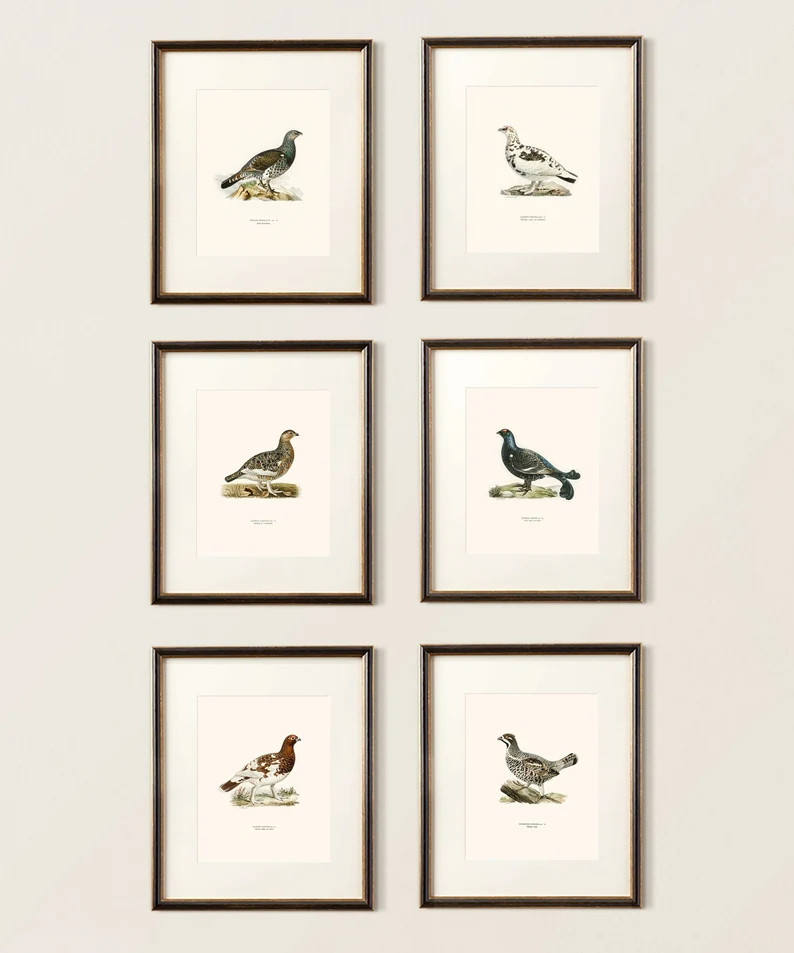 Vintage Bird Hunting Print Set, Game Bird Wall Art, Pheasant Lithograph, Hunting Prints, Old Mone... | Etsy (US)
