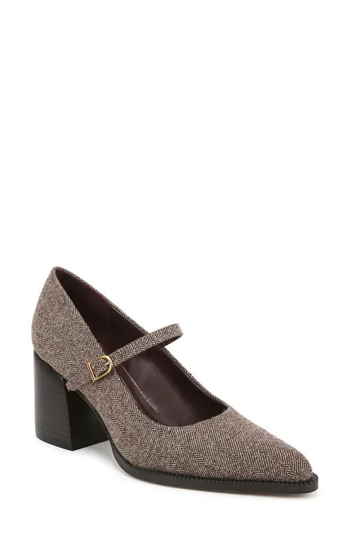 Franco Sarto Diane Mary Jane Pointed Toe Pump in Brown at Nordstrom, Size 8 | Nordstrom