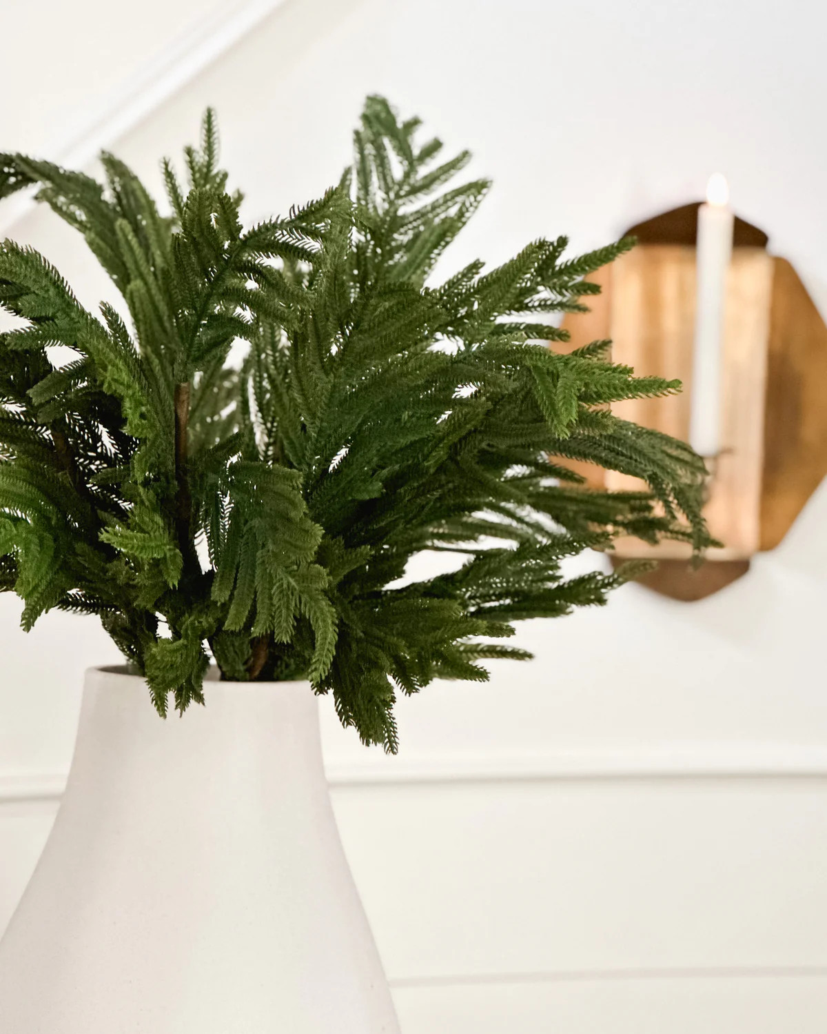 Norfolk Pine Stem | Jaclyn James Co
