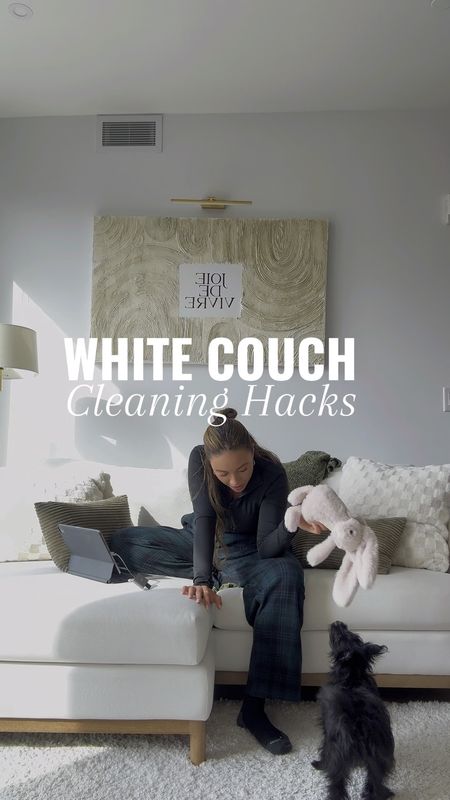 How I keep my couch clean even with a puppy!

#LTKhome #LTKVideo