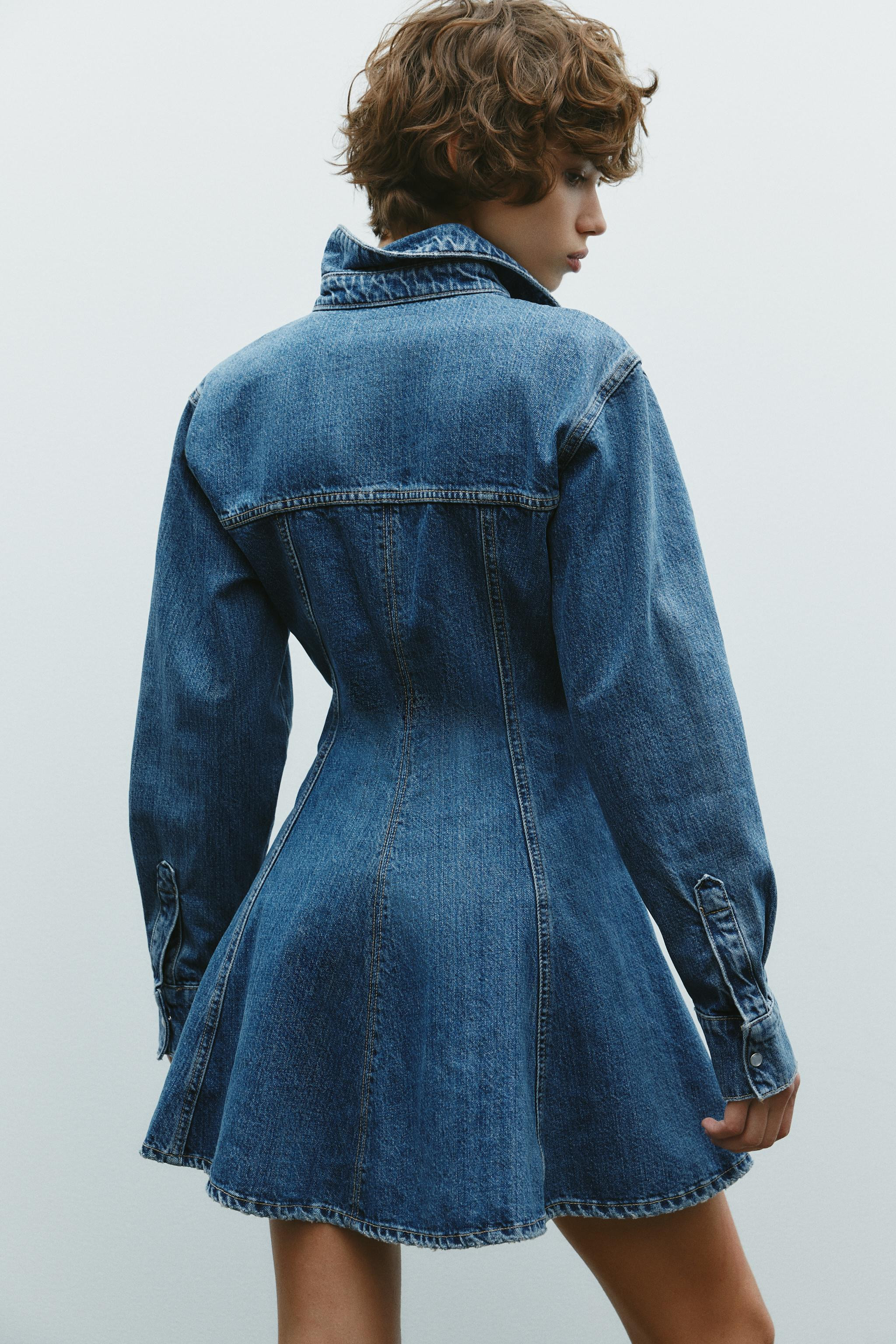 Short lapel collar dress. Long sleeves with cuffs. Front snap button closure. | Zara US