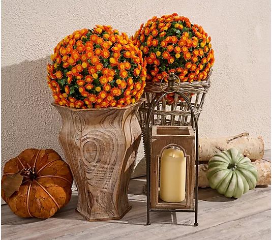 Wicker Park Set of 2 Oversized Harvest Faux Mum Spheres - QVC.com | QVC