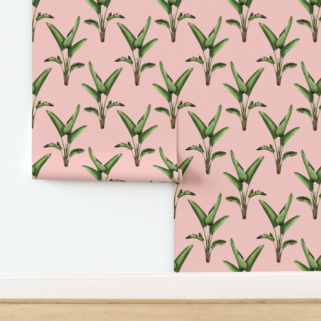 Single strelitzia on pink pop/small | Spoonflower