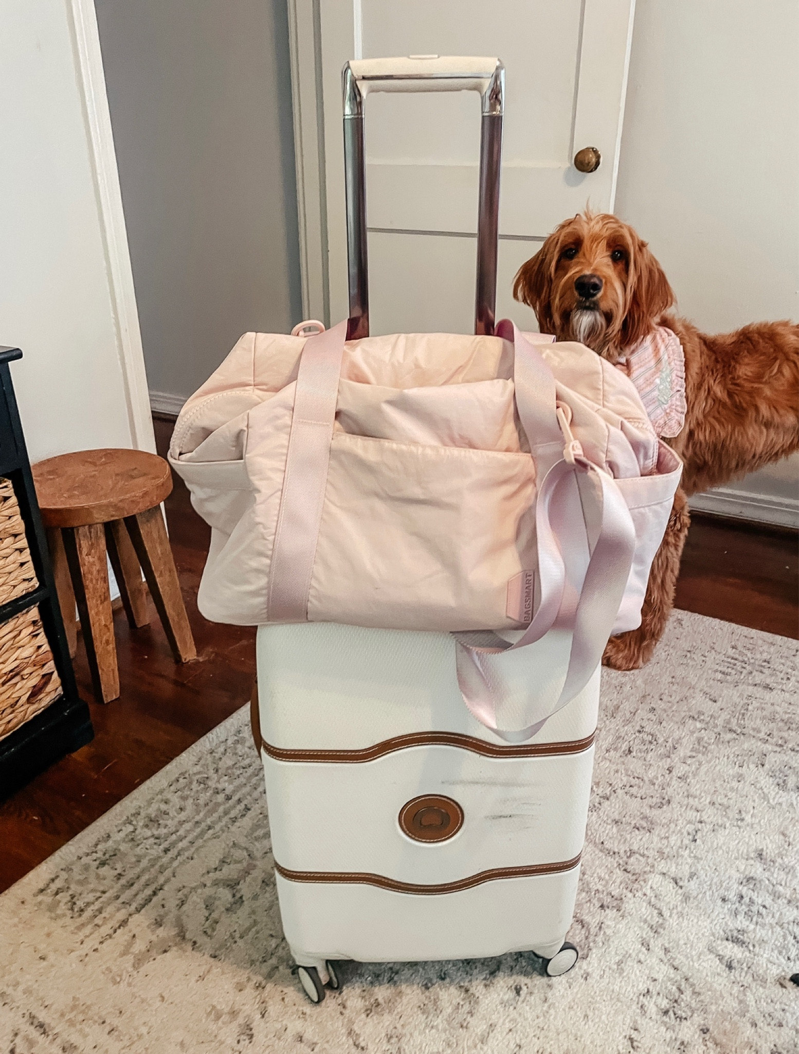 My travel favorites! 