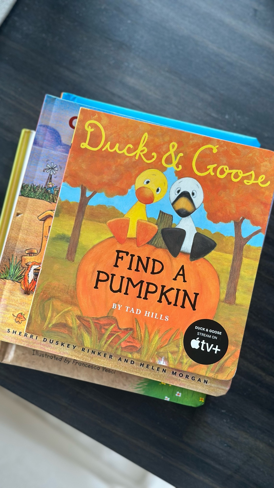 A few fall books for little guys nursery 🍂

#LTKBaby #LTKSeasonal #LTKKids