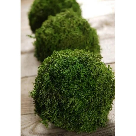 Green Reindeer Moss 4"" Balls (set of 3) | Walmart (US)