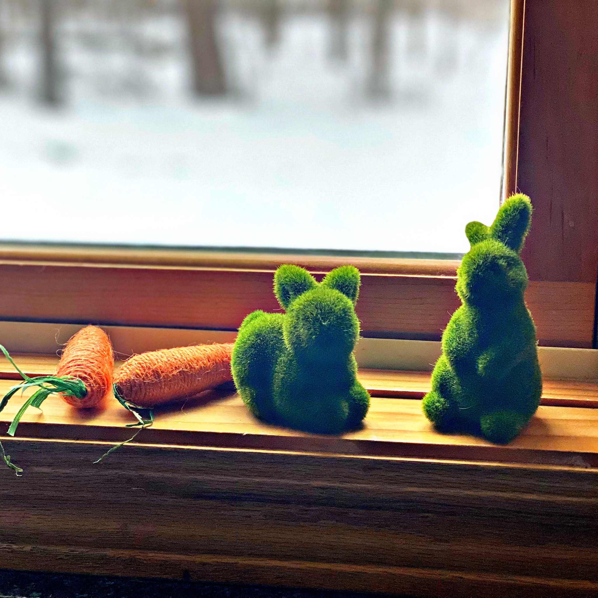 Cute little moss bunnies from Amazon. Perfect for Easter and Spring decor  

#LTKunder50 #LTKhome #LTKSeasonal