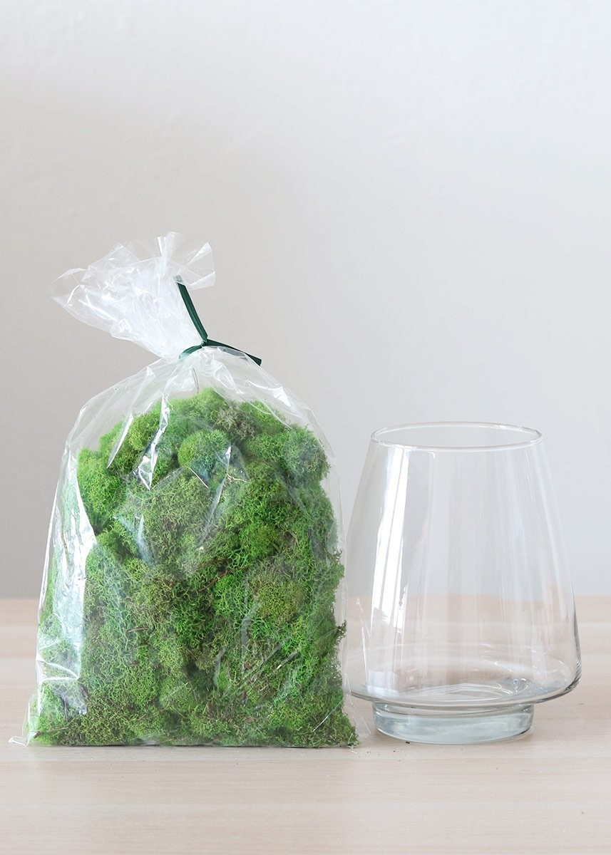 Spring Green Preserved Reindeer Moss - .25 lb | Afloral (US)