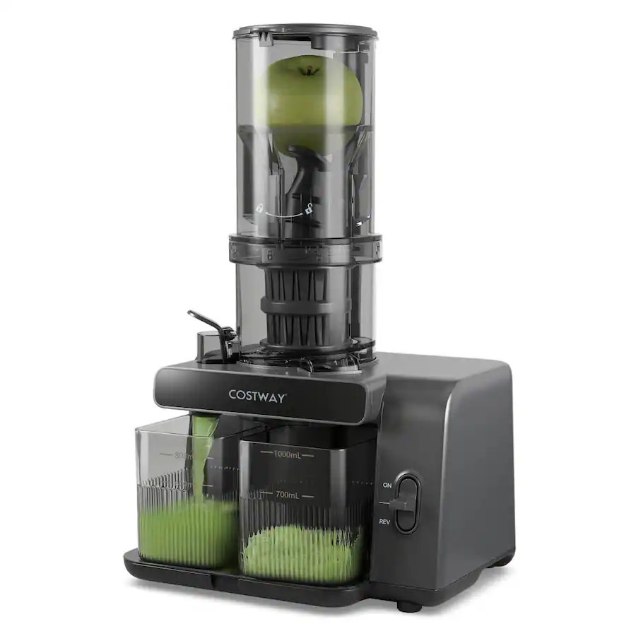 Costway - Cold Press Juicer Machine Professional Slow Masticating Juicer with Reverse Button - Gr... | Best Buy U.S.