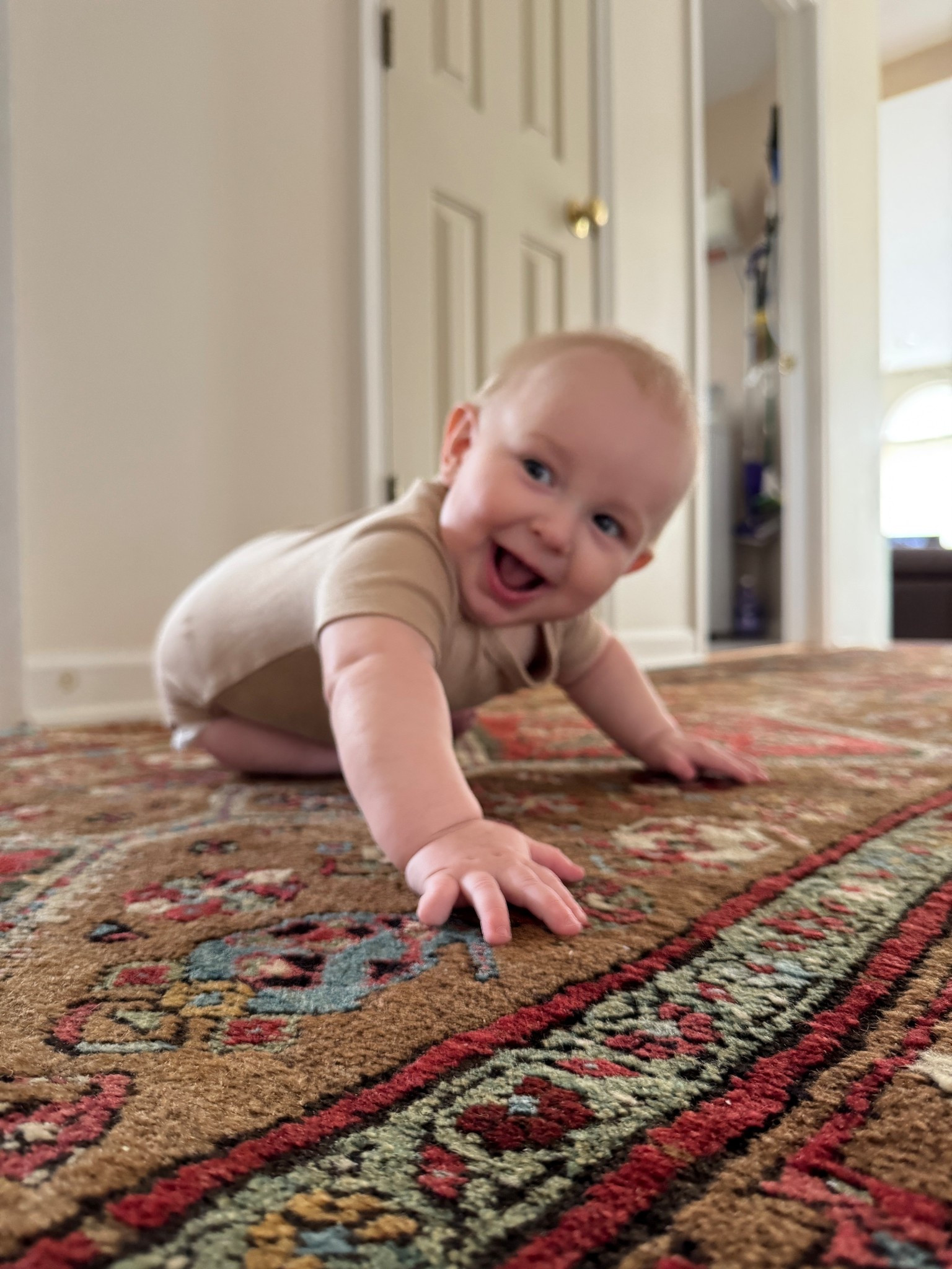 Even Lake loves oriental Turkish rugs! #vintagerugs #turkishrug #orientalrug 

#LTKHome