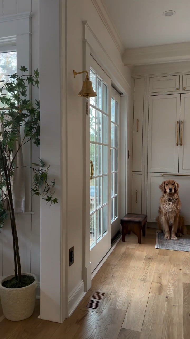 The sweetest Saturday greeting ✨ Some gather around the kitchen island, others 😉 prefer the fridge. He knows exactly where to wait, and I just had to share this very real routine moment with you 🤍 

Any other goldens obsessed with ice cubes?!

Comment SHOP for all of the kitchen links and details, to your inbox.

#cottagekitchen #kitchenstyling #kitchendecor #coastalcottage #modernheritage