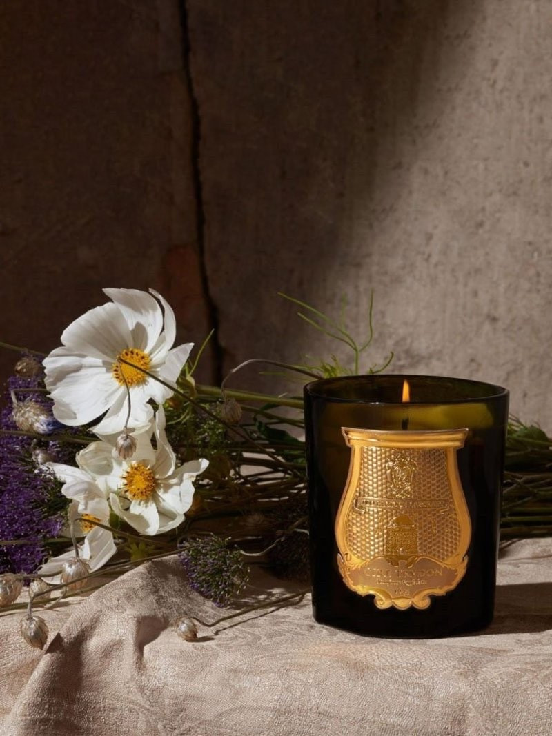 Scent Your Summer…The Best Designer Candles that Smell Like Escape

#LTKHome #LTKSeasonal