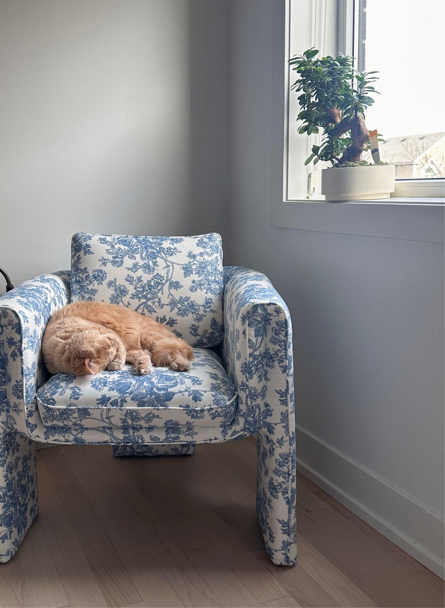 new chair 🦋🥺