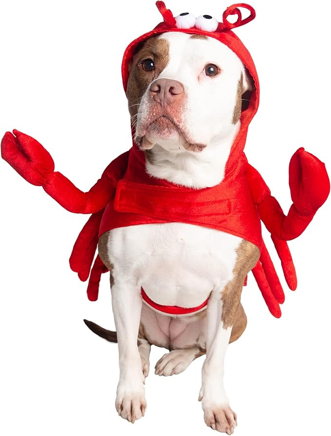 Pet Krewe Dog Lobster Costume | Extra Large Fish Pet Costume for Dogs 1st Birthday, National Dog ... | Amazon (US)