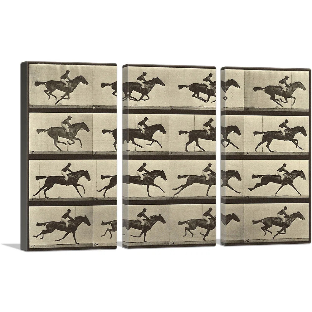 " Animal Locomotion Race Horse " by Eadweard Muybridge 3 - Pieces | Wayfair North America