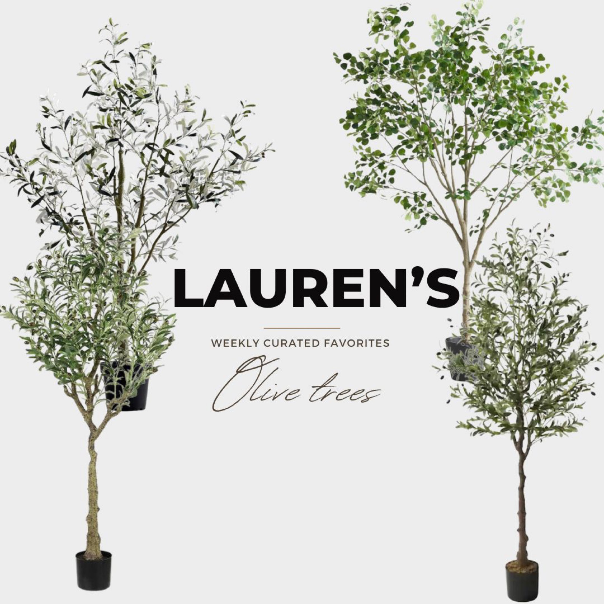 My favorite olive trees! 

Faux olive trees can be a great addition to your home decor and add a touch of greenery and natural beauty. Here are a few ways you can use a faux olive tree in your home:

As a centerpiece: Place the faux olive tree in the center of your dining table, coffee table or side table to create a focal point. You can place it in a decorative pot or planter to match your decor.
In a corner: If you have a corner in your home that needs a little something extra, place the faux olive tree in a decorative pot or basket in the corner to add some greenery and visual interest.
In the entryway: Place the faux olive tree in a decorative pot or basket near your front door to welcome guests and create a warm and inviting atmosphere.
On a mantel: If you have a fireplace with a mantel, place the faux olive tree on the mantel to add some natural beauty and greenery to the space.
In the bedroom: Place the faux olive tree on a nightstand or dresser to create a calming and relaxing atmosphere in your bedroom.
Remember to dust the leaves regularly to keep the faux olive tree looking fresh and clean.

#LTKSale #LTKhome #LTKSeasonal