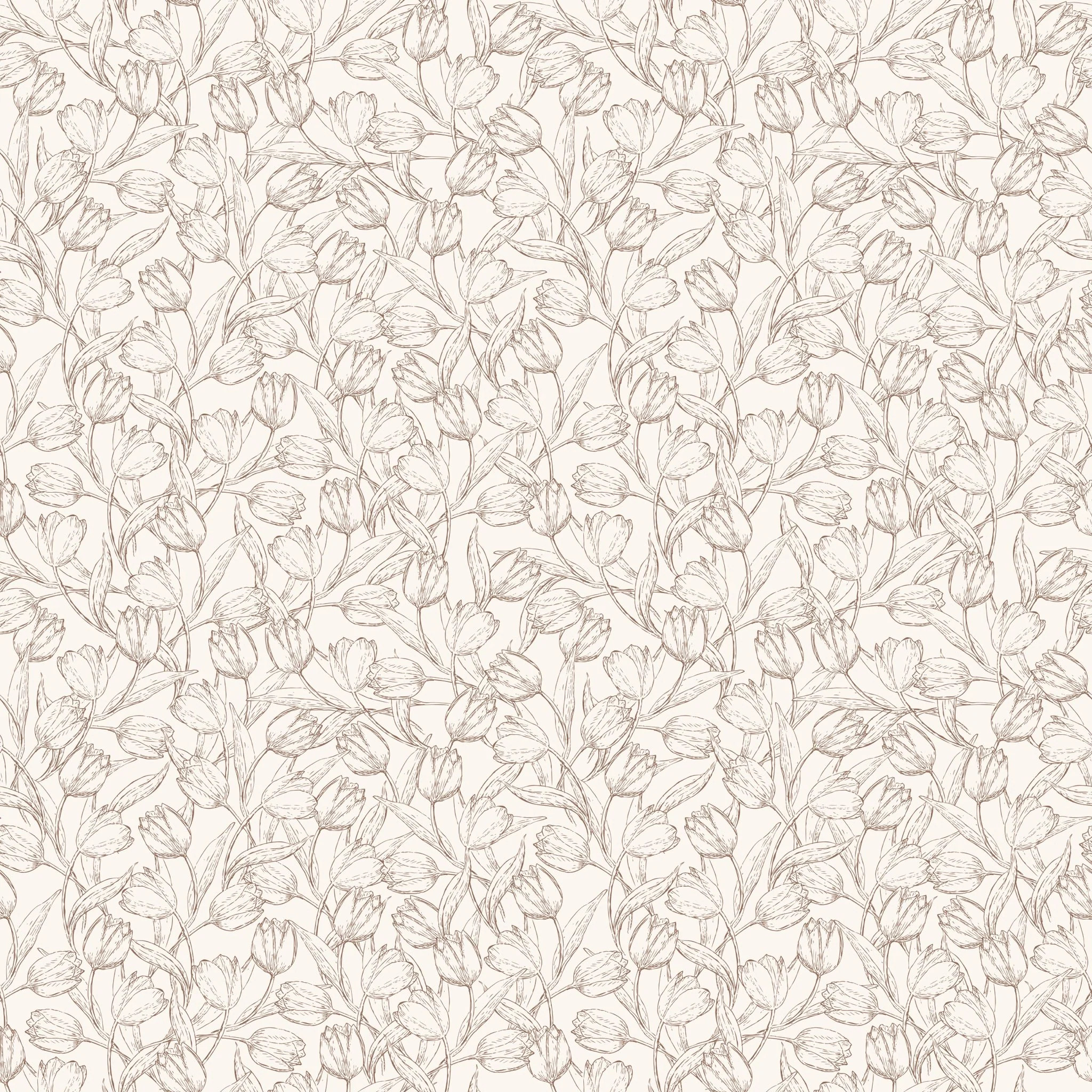 Tulip Sketches | North and Finch