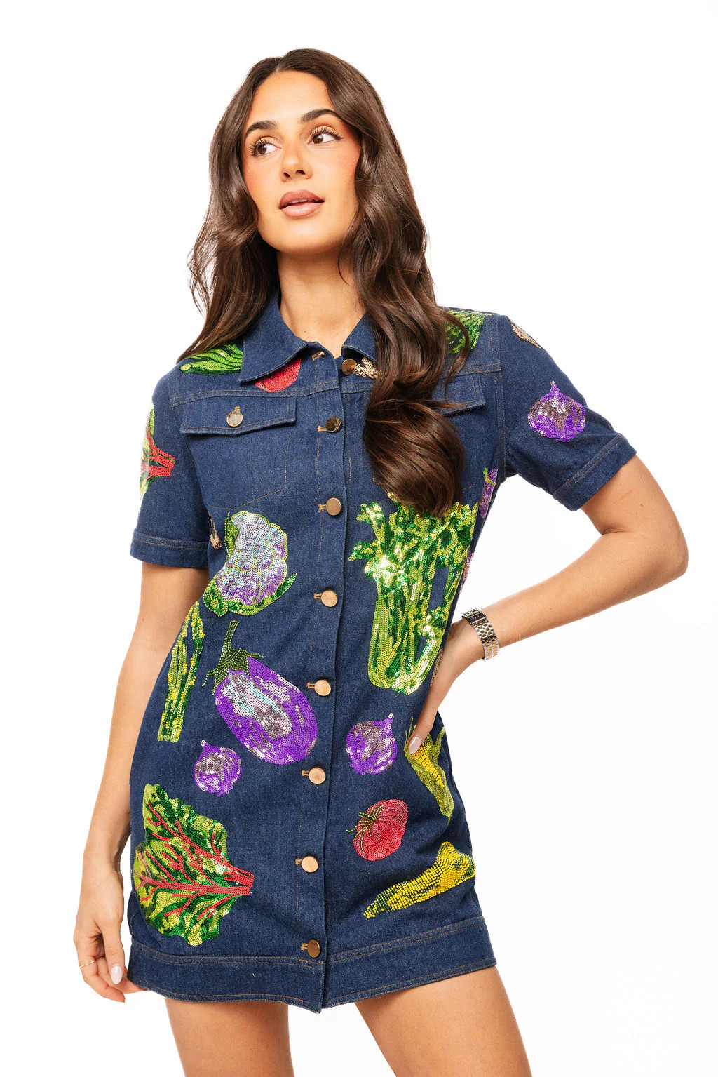Sample Denim Multi Veggie Dress | Queen of Sparkles