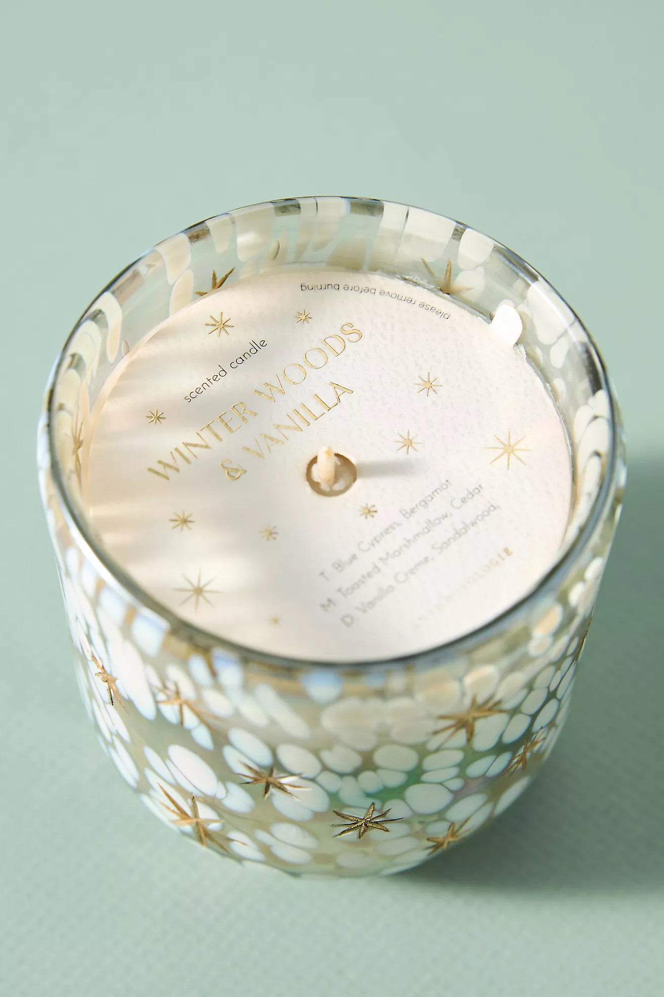 Festive Woody Winter Woods & Vanilla Gilded Glass Jar Candle | Anthropologie (US)
