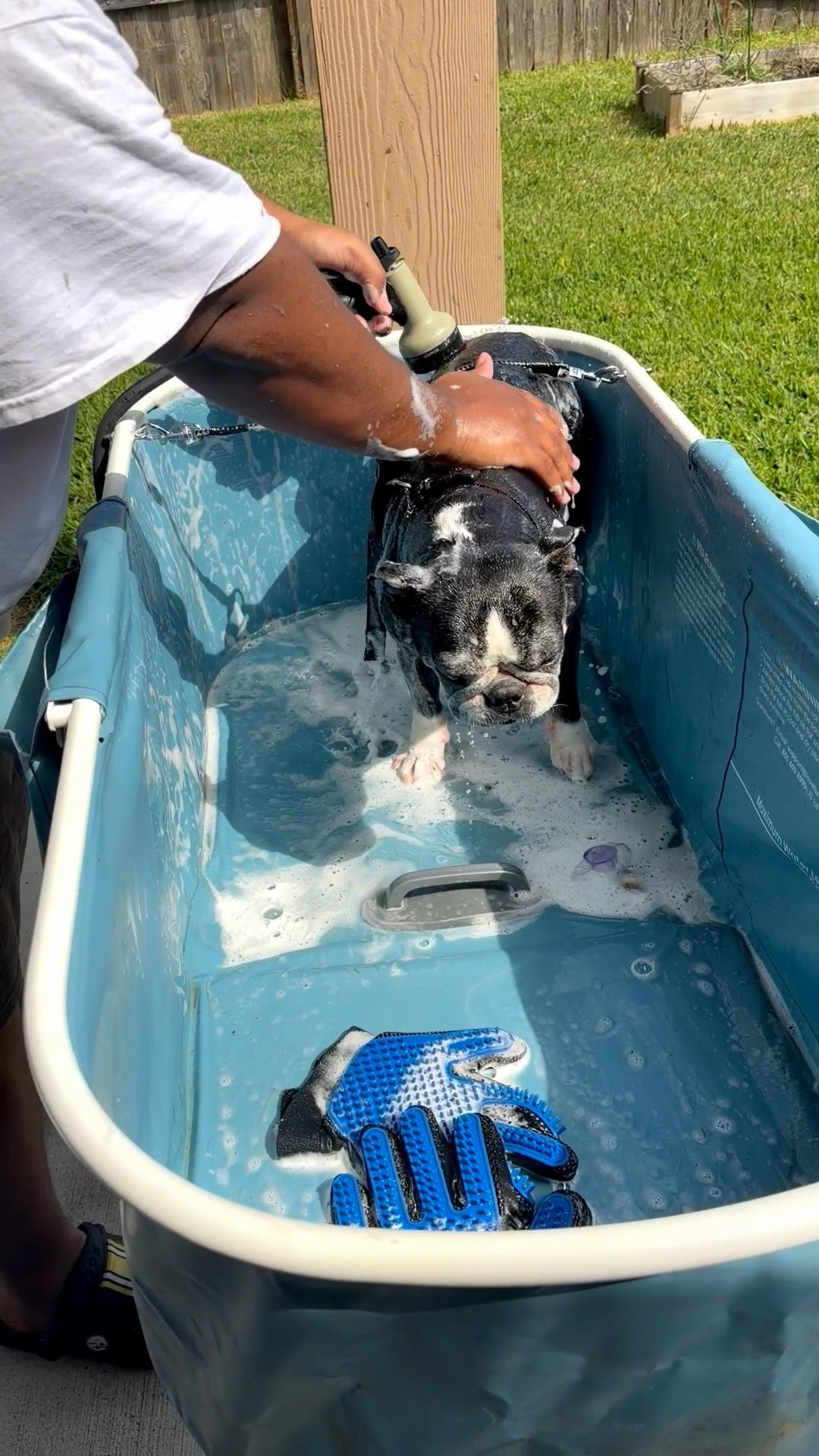 Wash day 🧼🫧🛀🏾💦. No one has time or the knees to bend over that tub to give our pets a bath. This dog bath tub is perfect , it stands tall and its outside. Perfect for those pet hair so it won’t clog the drains .#LTKMothersDay

#LTKSaleAlert #LTKHome