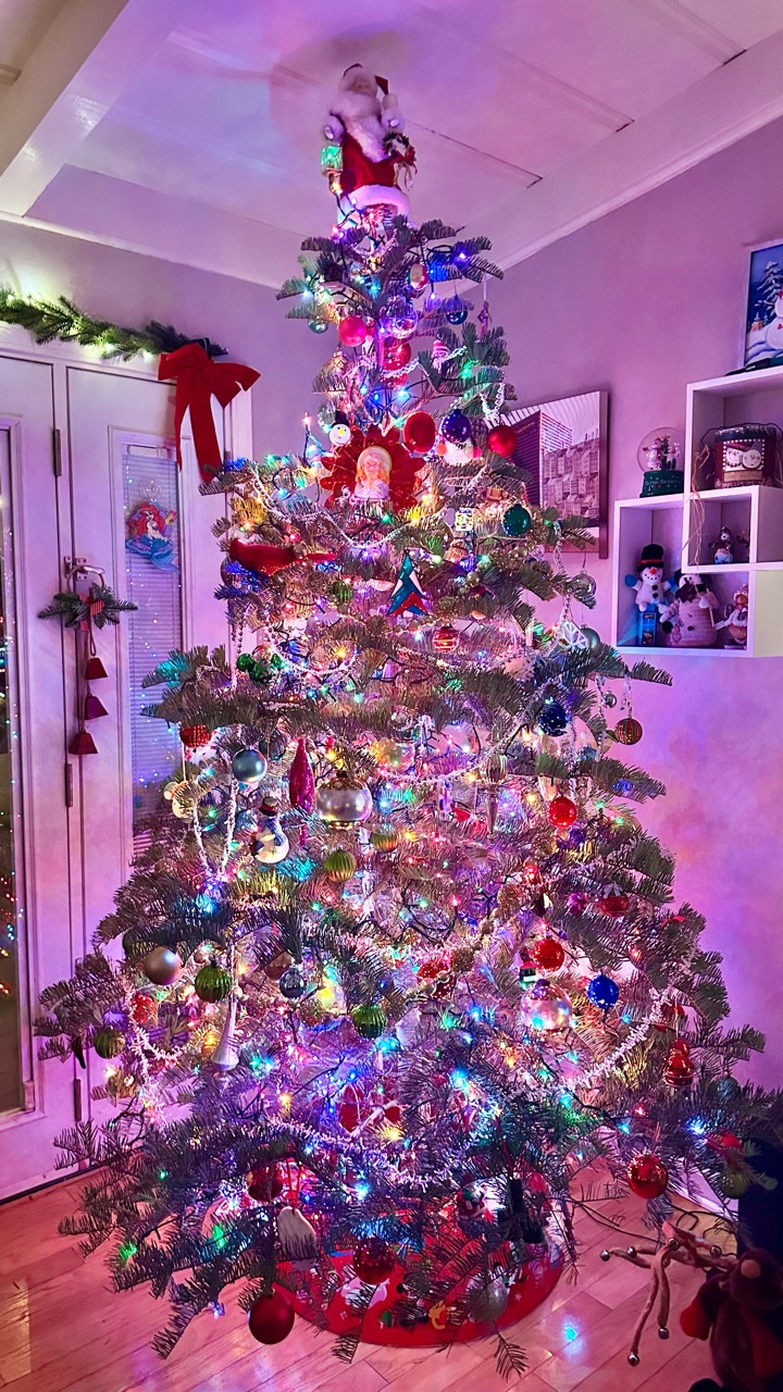 You just can’t get that nostalgic glow from LEDs. This year, I finally broke down and bought colorful incandescent lights to give my tree that warm, cozy glow I remember from childhood. Although, we did use a twinkling strand of LEDs as well to give it that extra pizzazz. (My husband and kids like twinkle)

I know it may not be the most aesthetic, Instagram-perfect tree, but it’s full of warmth, color, and memories, and that’s all that matters.

The only thing missing is the tinsel… but I have a cat, and I love my cat more. #nostalgicchristmas #christmasdecorations #christmastreedecorating #vintagechristmasdecor

#LTKHoliday #LTKSeasonal #LTKGiftGuide