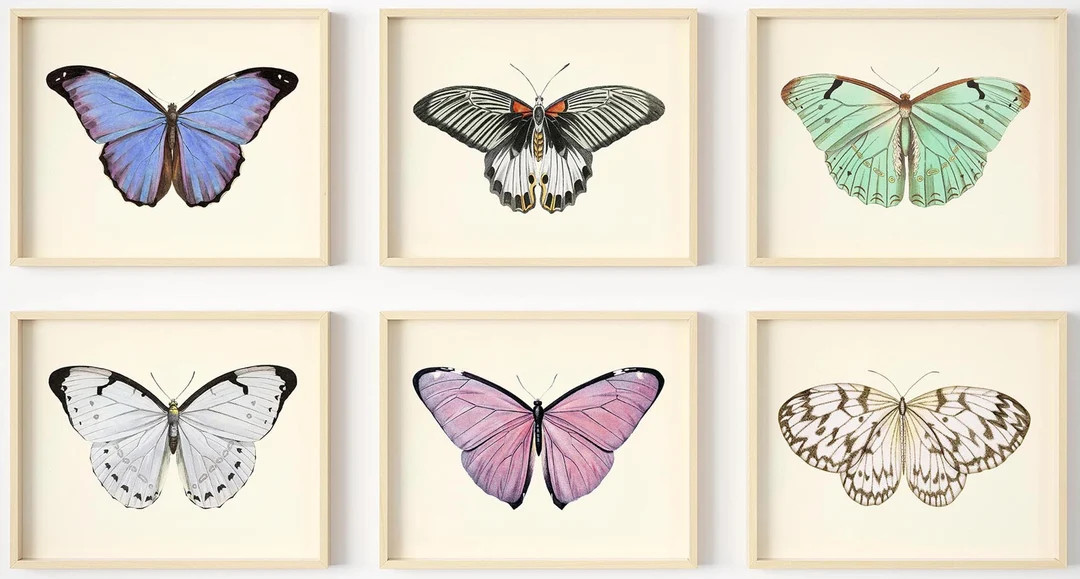 Butterfly Wall Art - Vintage Butterflies Decor - Butterfly Art Prints - Botanical Wall Art - Wate... | Etsy (US)