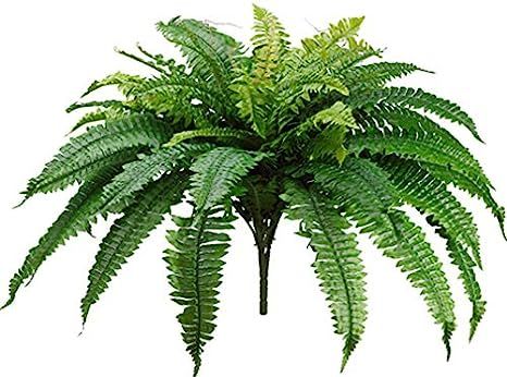 One 25 Inch Long Silk Artificial Boston Fern Bush with a 40 Inch Spread from Tip to Tip When Spre... | Amazon (US)