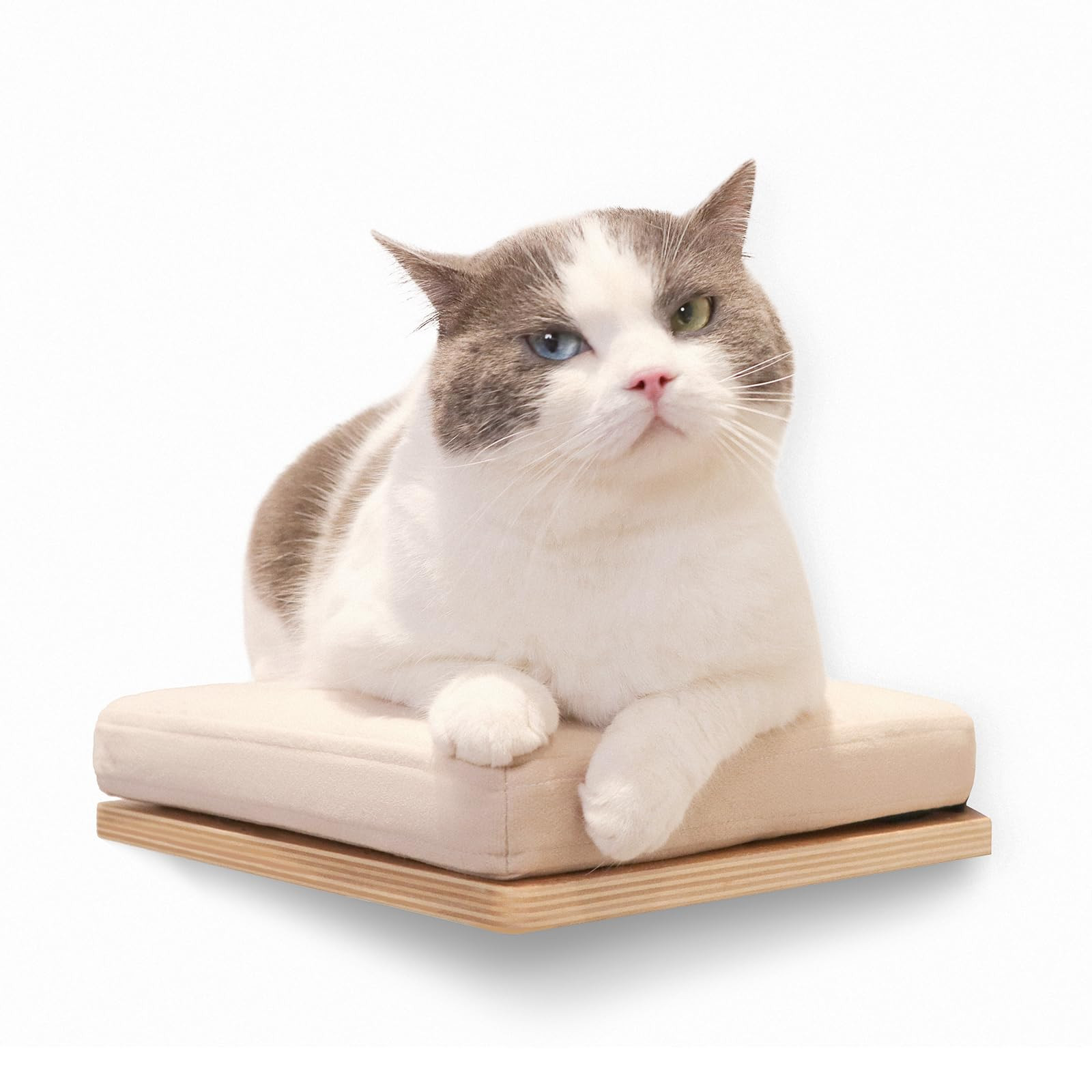 Cat Shelves Wall Mounted Cat Step with Cushion Wooden Climbing Shelf Wall Furniture for Sleeping ... | Amazon (US)