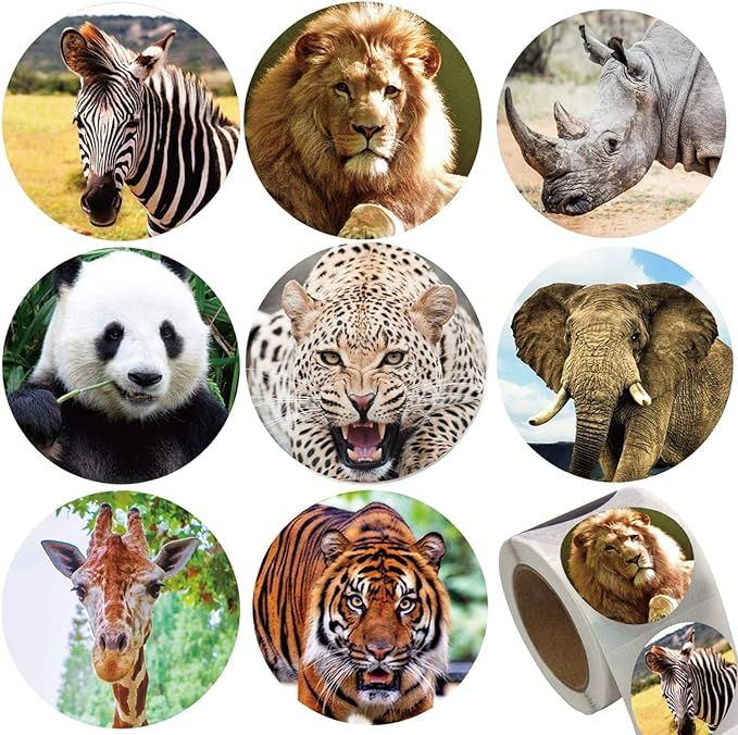 Zoo Animals Stickers for Kids,500pcs Round Jungle Animal Stickers for Boys Girls Birthday Party F... | Amazon (US)