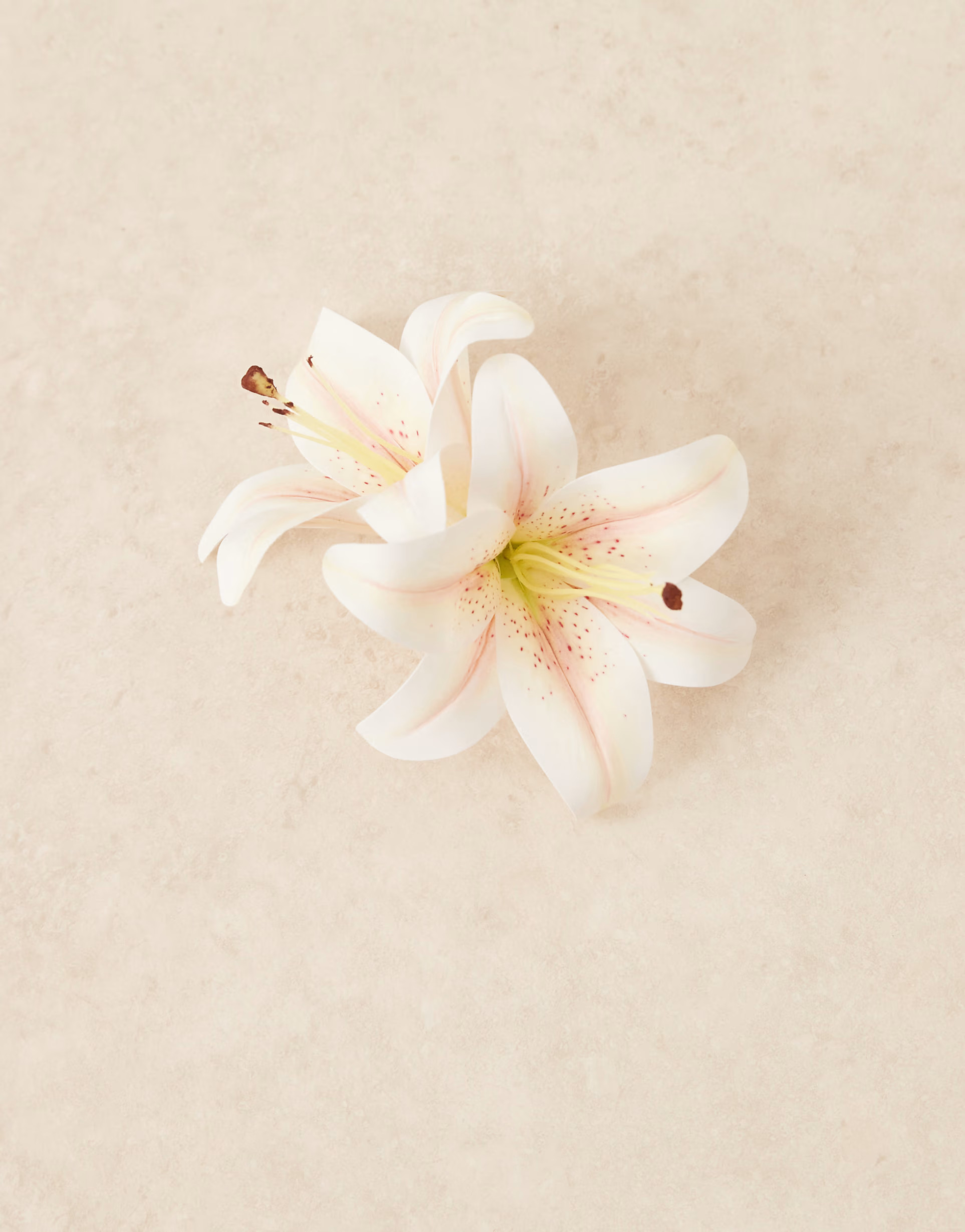 ASOS DESIGN hair claw with faux lily flowers in white | ASOS | ASOS (Global)