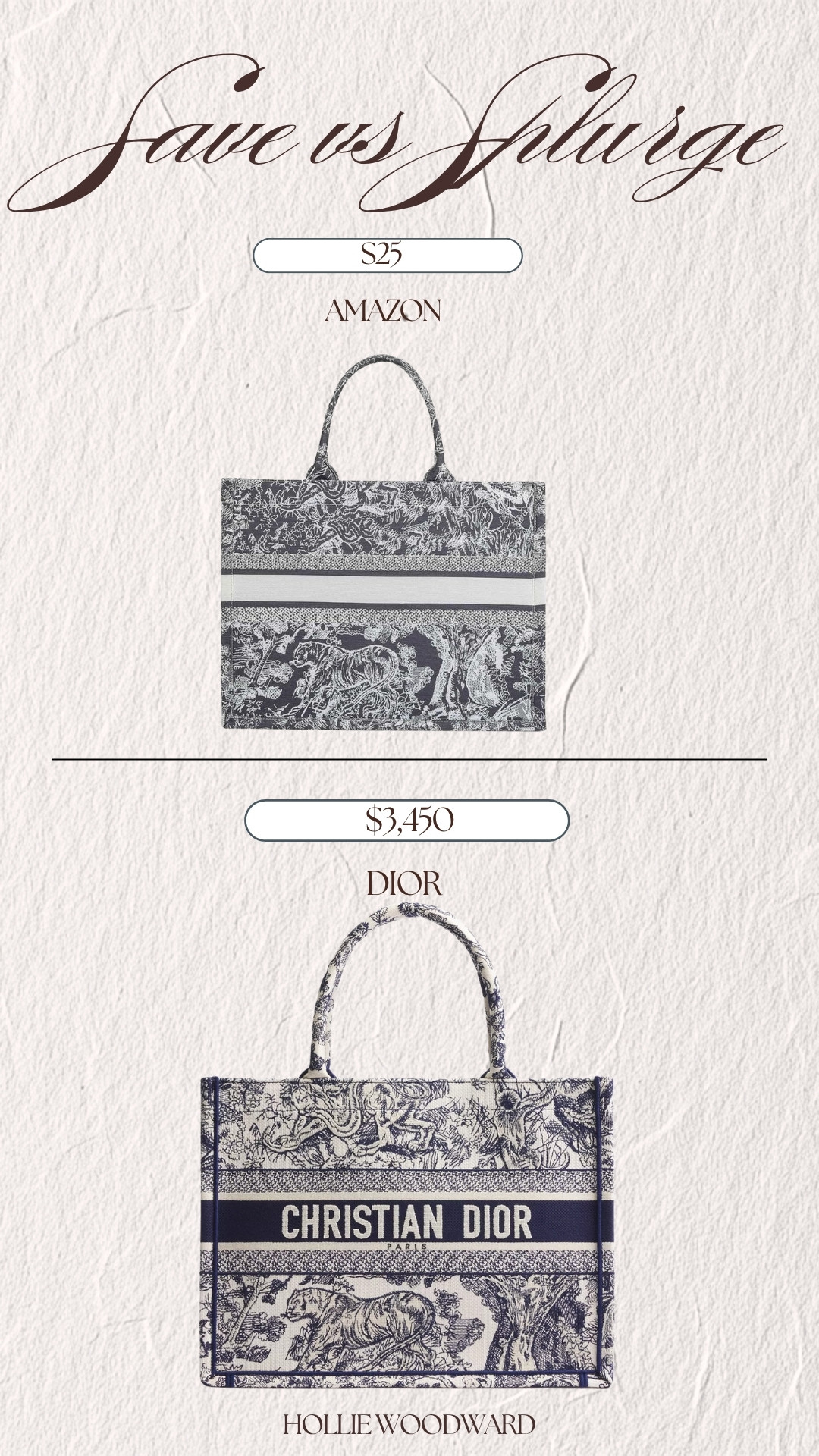 love a good summer tote for our trips 🫶🏼🐅 

 