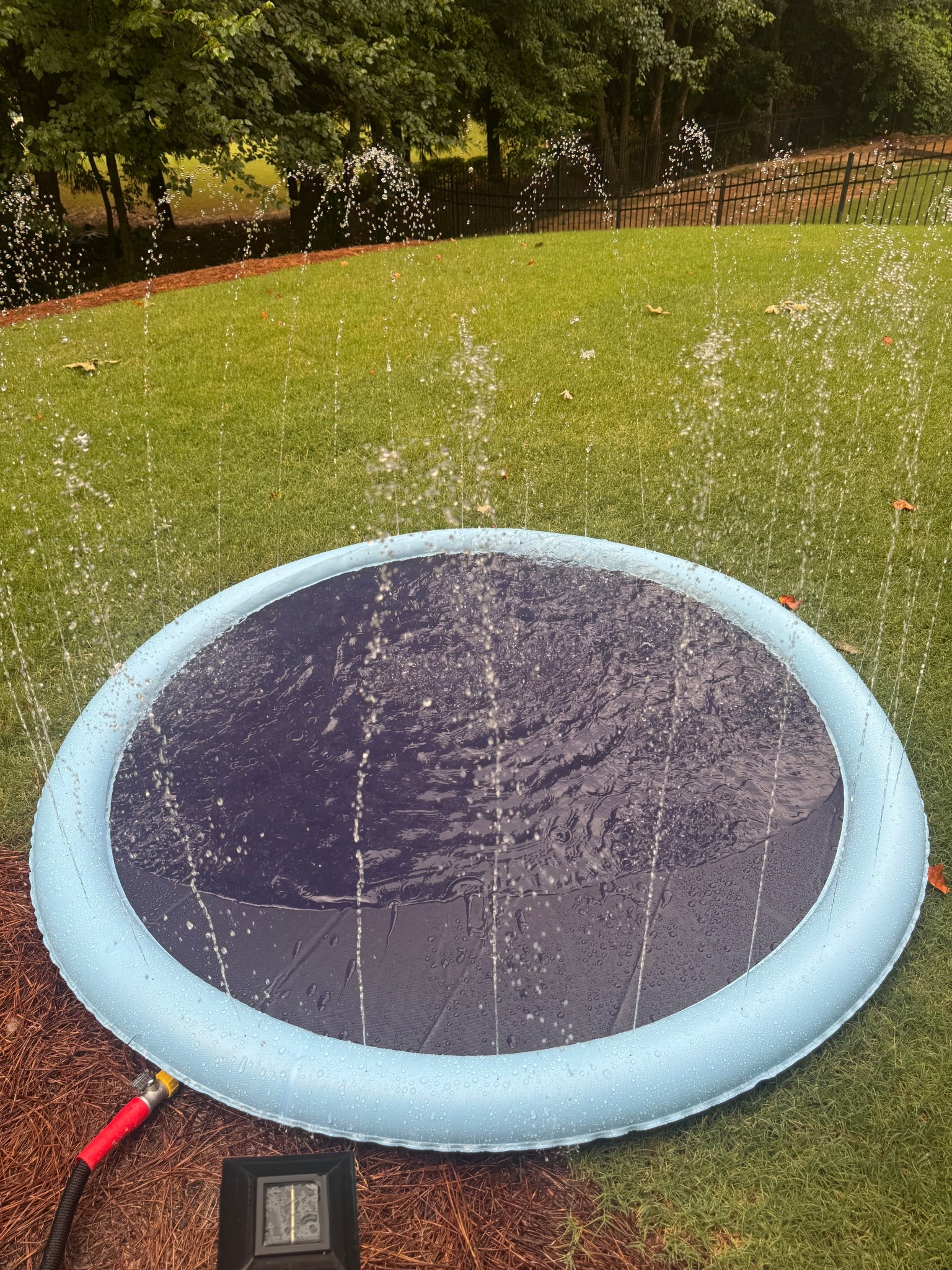 Got a splash pad for my fur baby so that she can play even in the summer heat!!🐶💦 It was so easy to set up & it’s on sale! (She’s still a little skeptical of it, but I can tell she’s going to love it once she warms up to it🤭) #dog #splashpad #summerfun

#LTKPets #LTKSaleAlert #LTKSeasonal