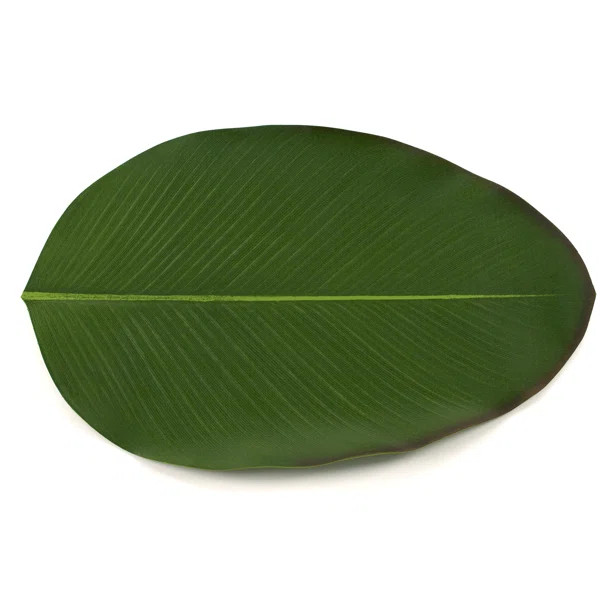 Moses 18.9" Placemat | Wayfair North America