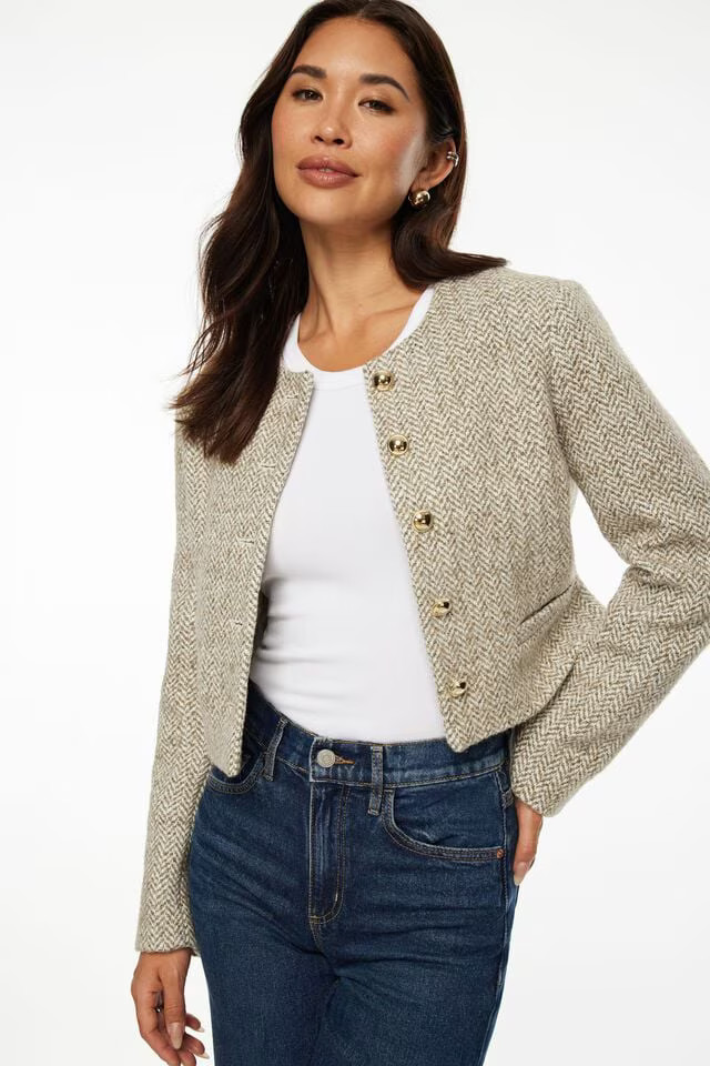 Margaux Tweed Blazer | Dynamite Clothing