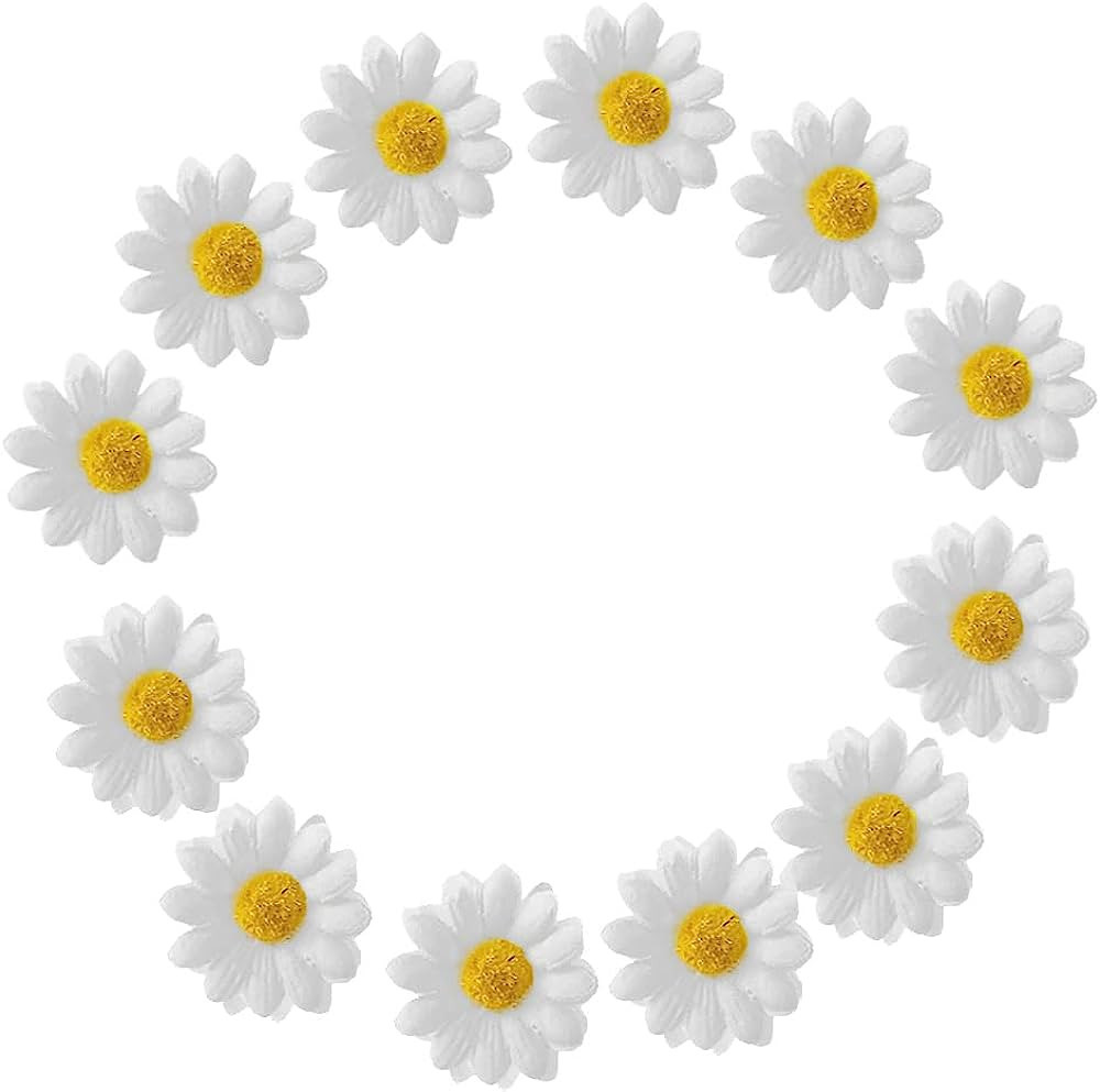 12pcs Womens Multi-colored Sweet Daisy Hair Clips Mini Sun Flower Hairpins Hair Accessory for Bri... | Amazon (US)