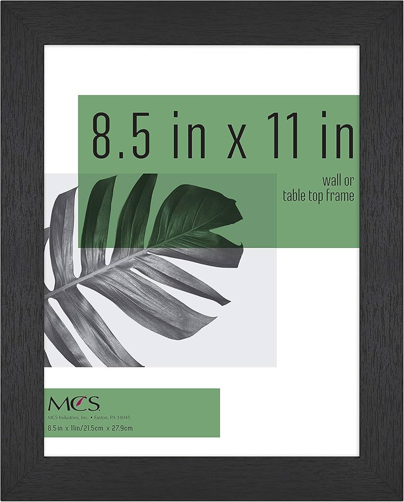 #icp-touch-link-language { display: none; }




  English




          
          

#icp-touch-l... | Amazon (CA)