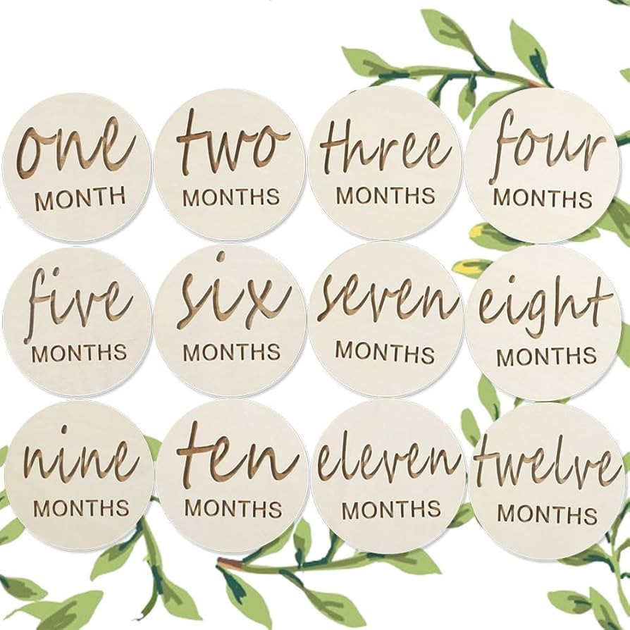 Wooden Baby Monthly Milestones for Newborn Baby,1-12 Months Baby Announcement Discs, Pregnancy Ba... | Amazon (US)
