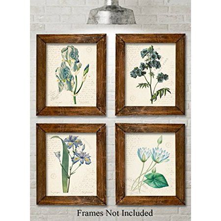 Blue Paris Botanicals Art Prints - Set of Four Prints (8x10) Unframed - Great for Bedroom/Bathroom D | Walmart (US)