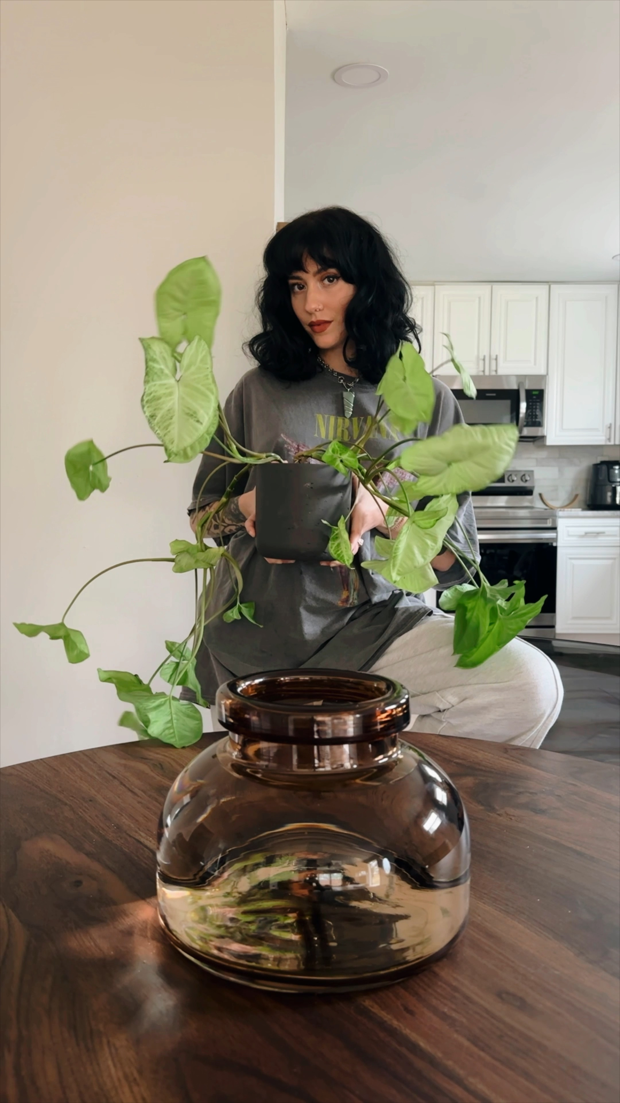 propagating my plants! have a pretty centerpiece + i’ll have 6 new plants soon ;) 

#plantmom #plants #vase

#LTKhome #LTKstyletip #LTKfindsunder50